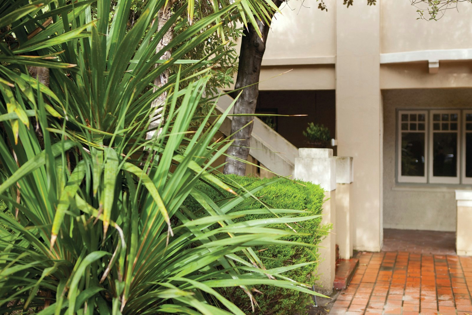 3/260 St Kilda Street, Brighton, VIC