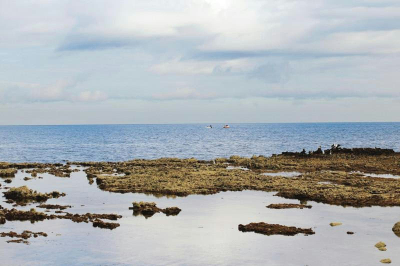 19 Ebden Avenue, Black Rock, VIC