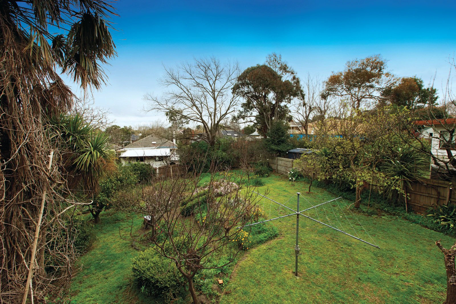 42 Essex Road, Surrey Hills, VIC