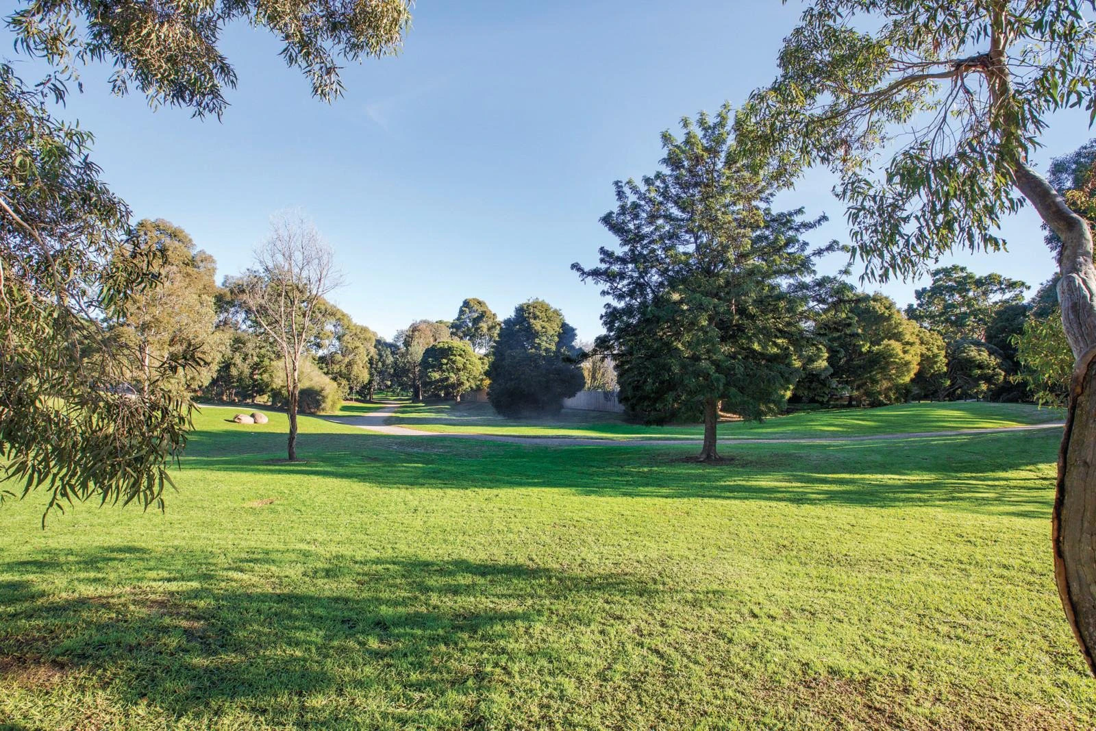 42 Renwick Street, Glen Iris, VIC