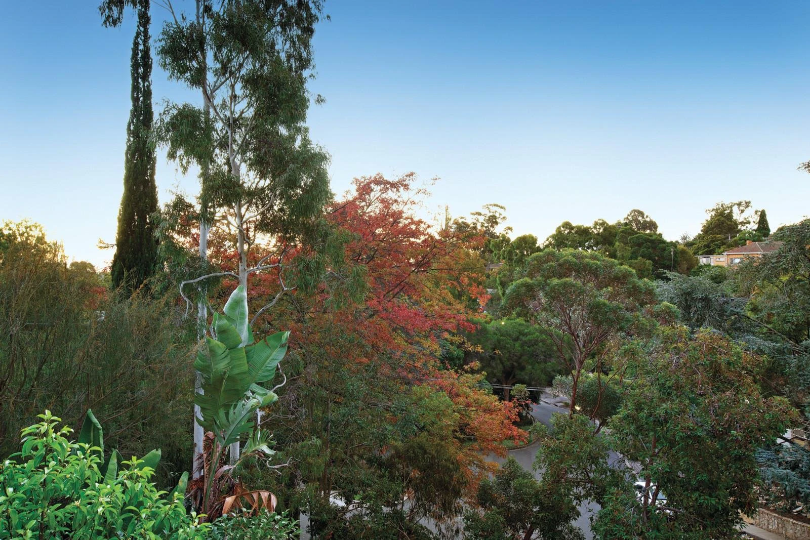 21 Yarravale Road, Kew, VIC