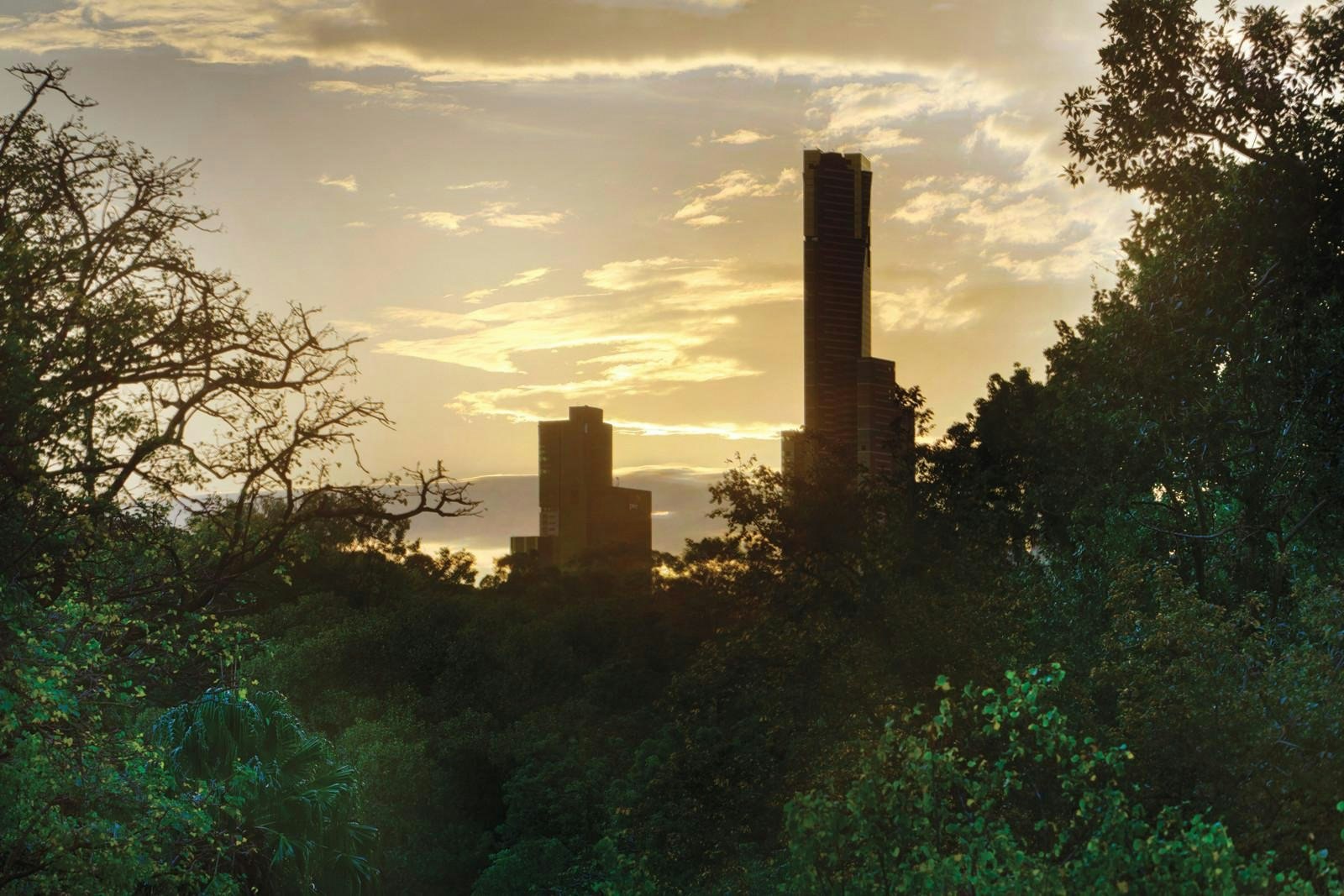 3/16 Anderson Street, South Yarra, VIC