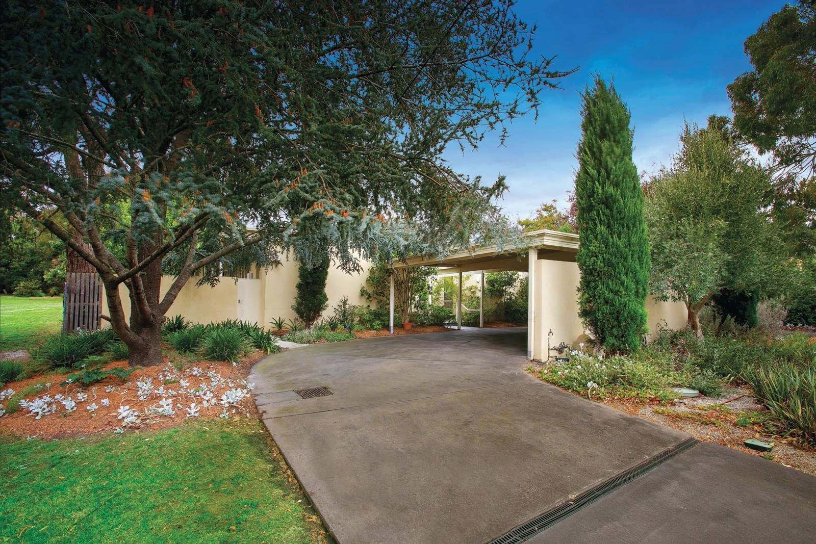 15 Yeovil Road, Glen Iris, VIC