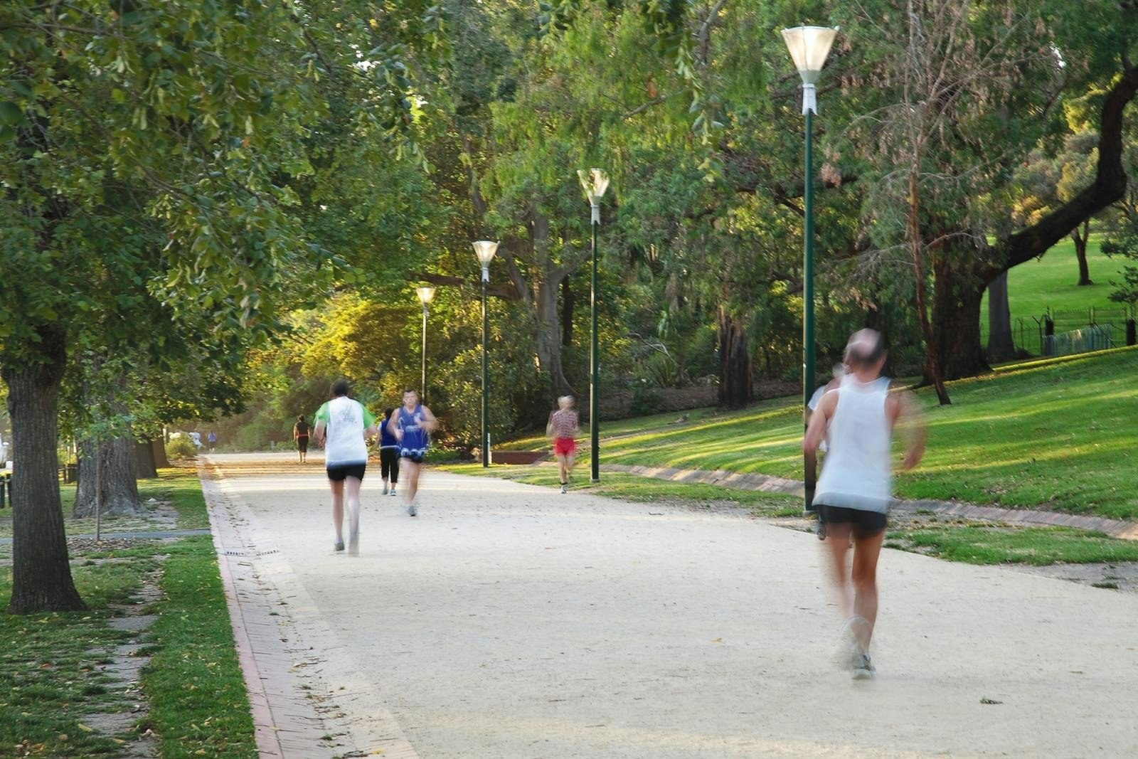 2C Verdant Avenue, Toorak, VIC