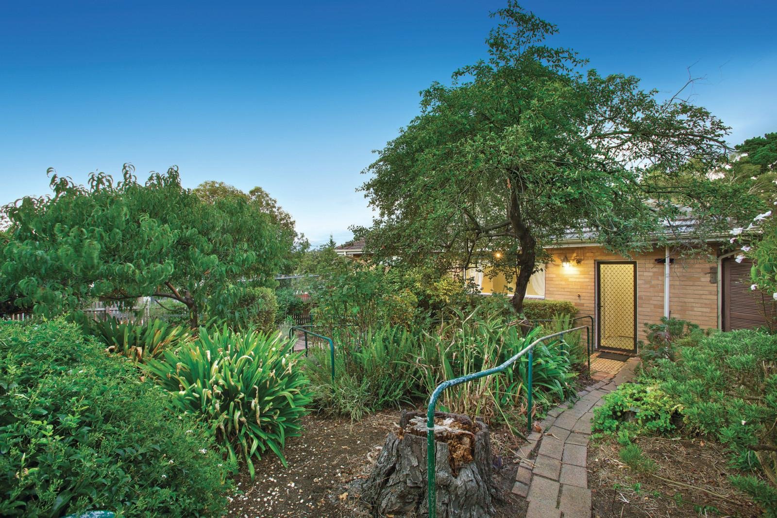 6 Arama Street, Balwyn North - Thumbnail 3