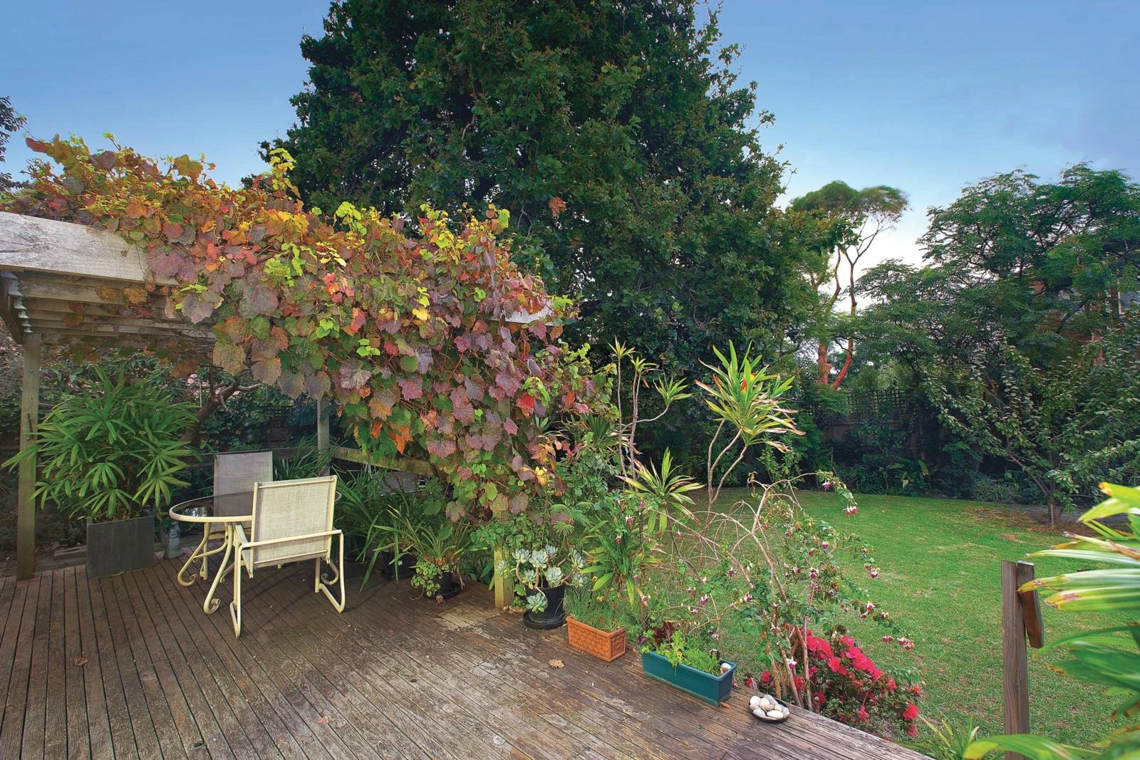 1 Canberra Grove, Brighton East, VIC