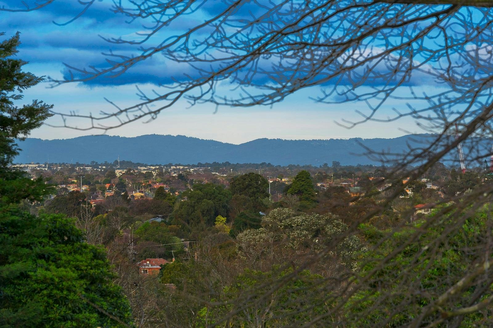 14-16 Yandilla Street, Balwyn, VIC