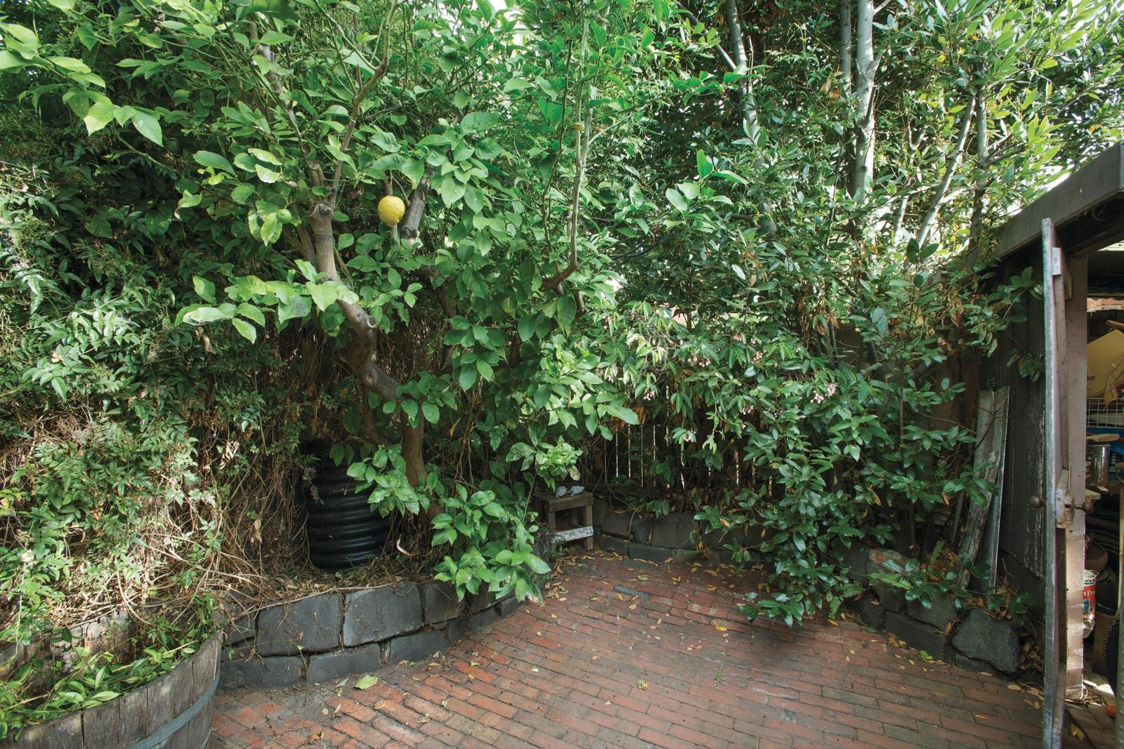 208 Napier Street, South Melbourne - Thumbnail 4