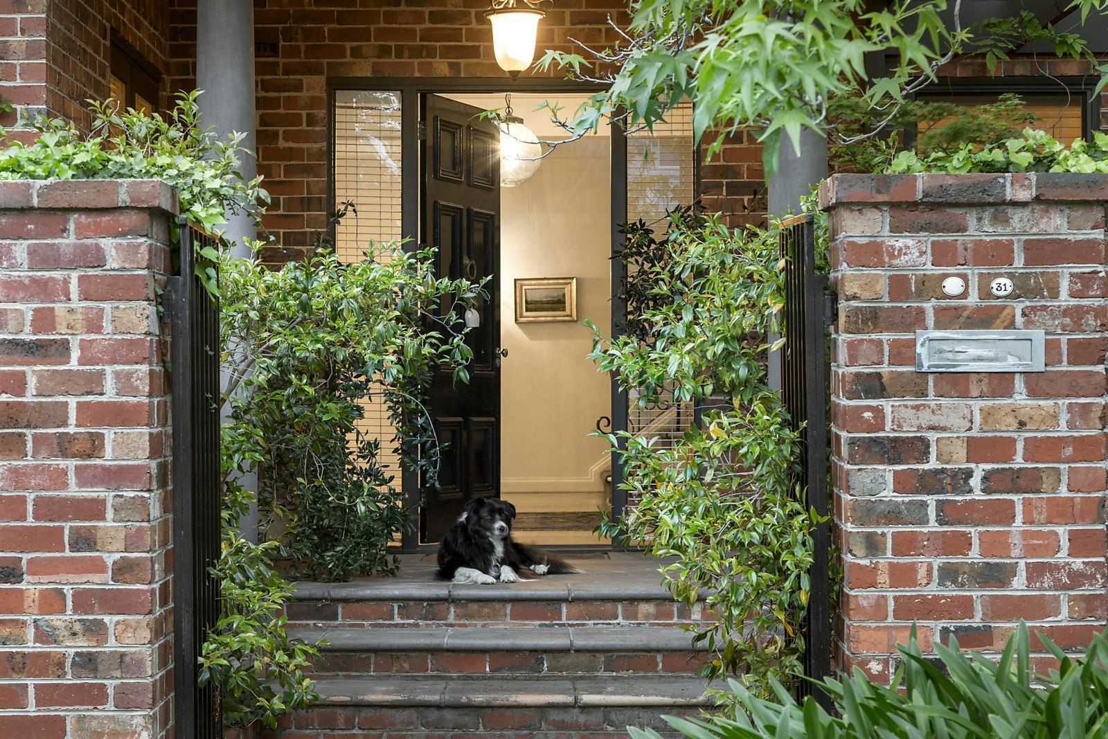 31 Were Street, Brighton, VIC