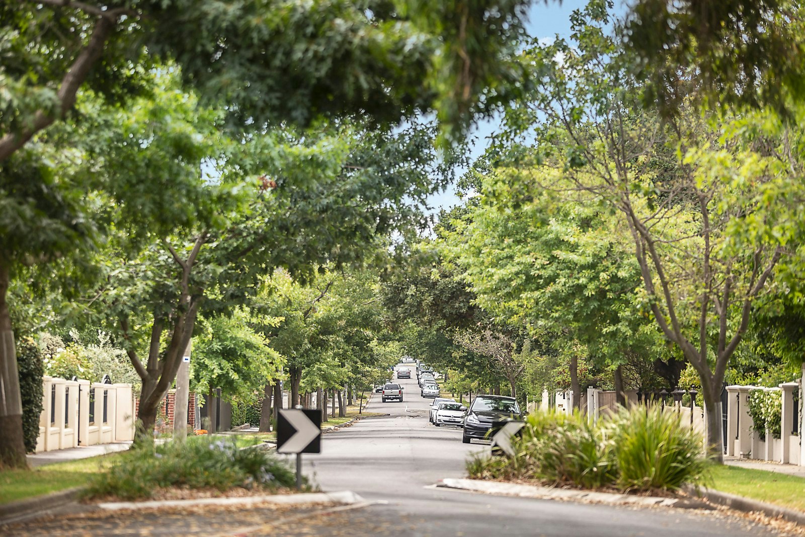 39-45 Wills Street, Kew, VIC