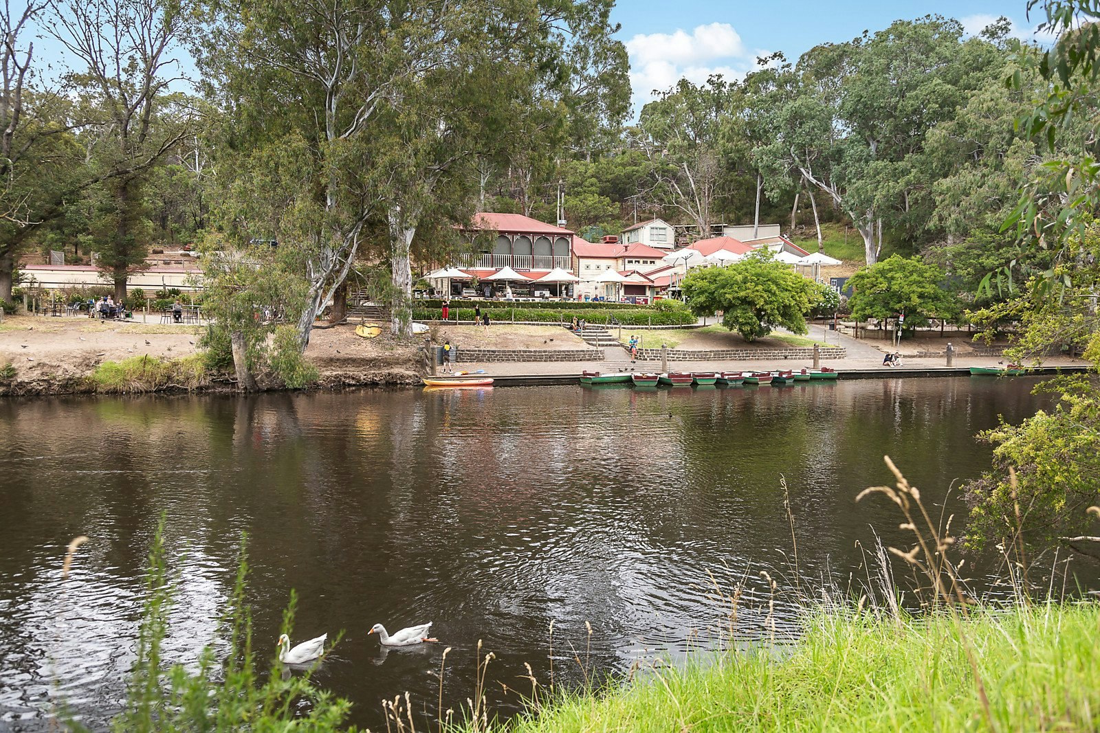 39-45 Wills Street, Kew, VIC