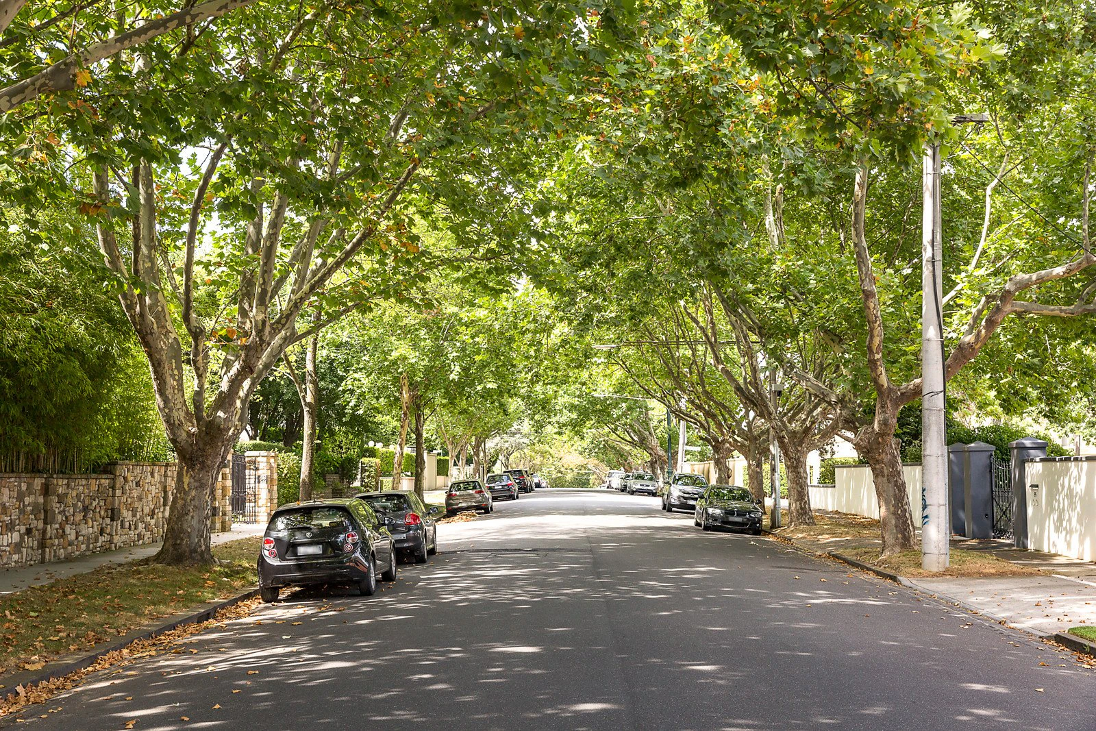 8 Balfour Street, Toorak, VIC
