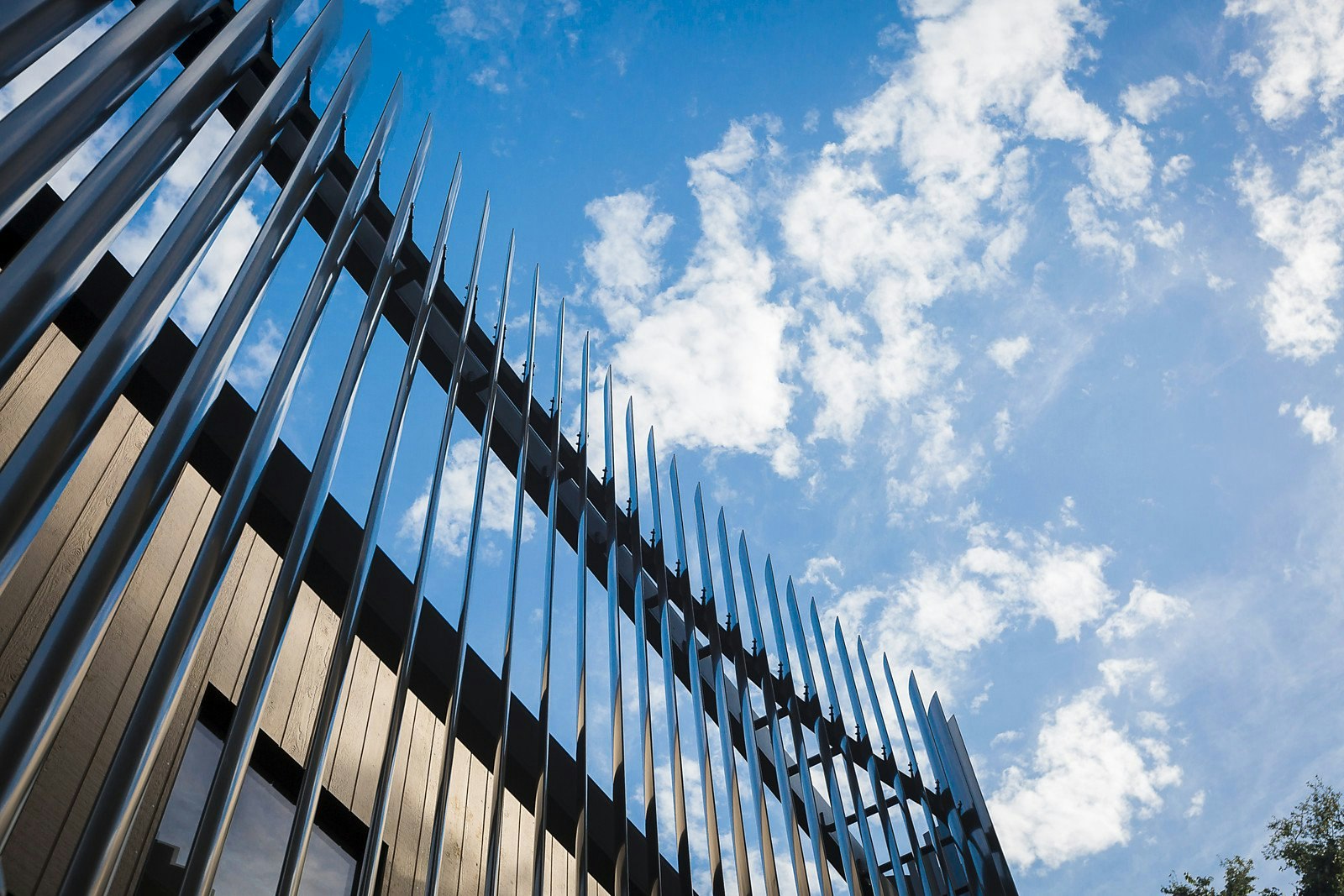 24 Van Ness Avenue, Glen Iris, VIC