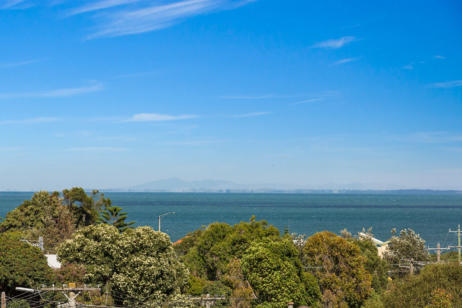 31 Grenville Street, Hampton, VIC