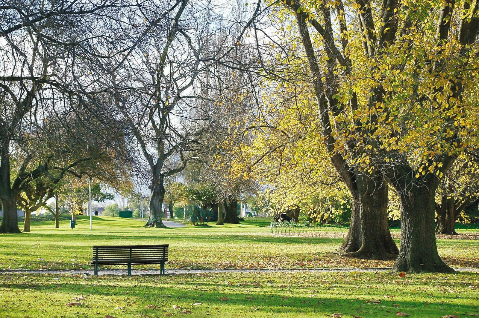 6 Jordan Street, Malvern, VIC