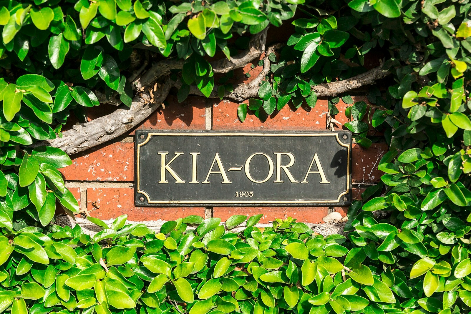 45 Power Street, Hawthorn, VIC