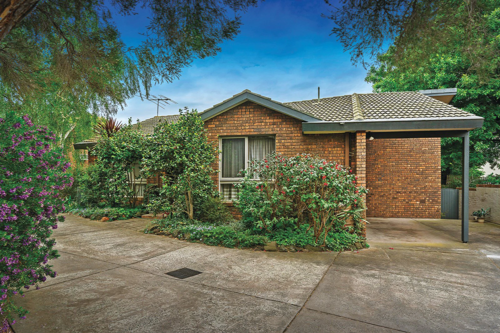 4/59 Athelstan Road, Camberwell, VIC