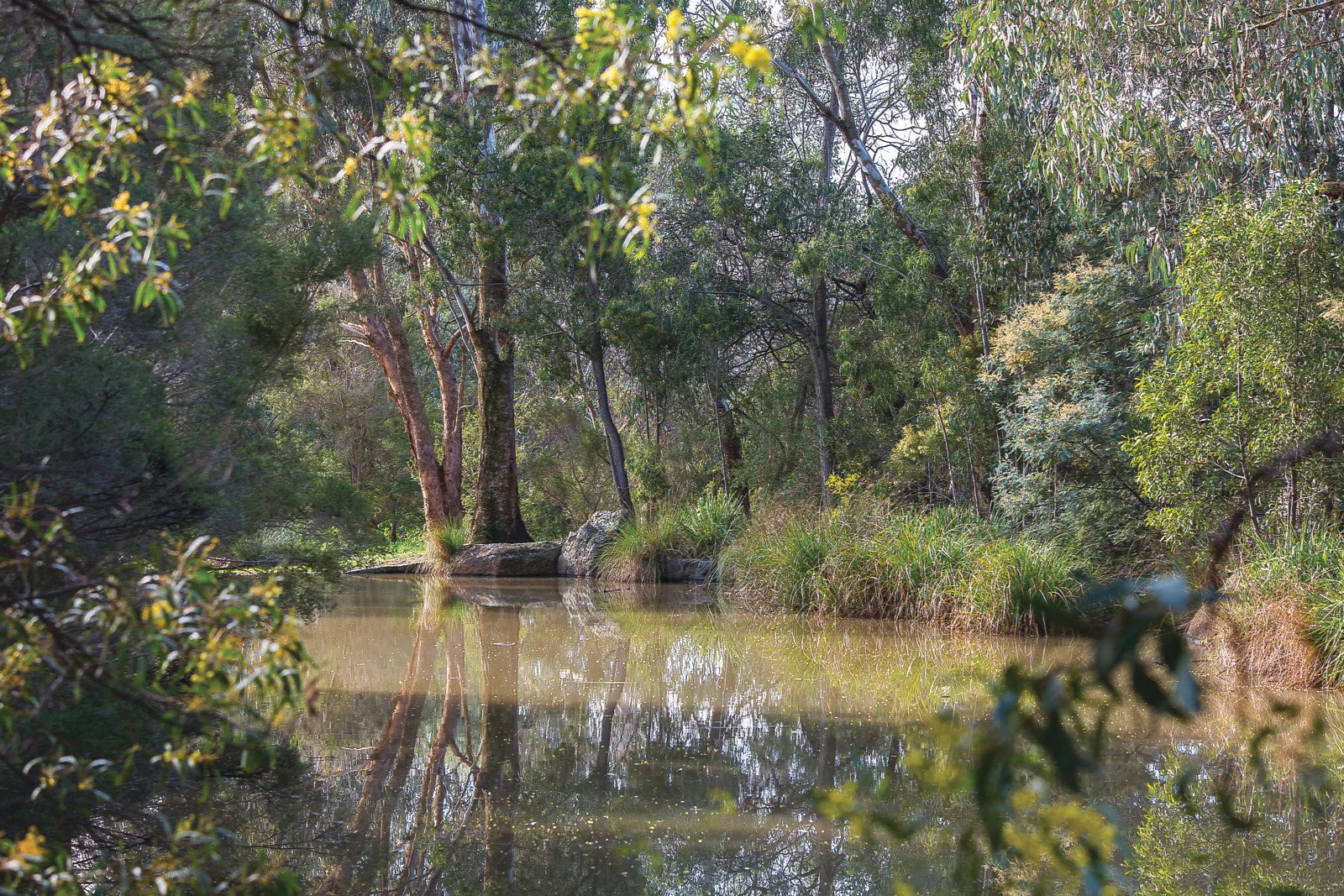 507 Waverley Road, Malvern East, VIC