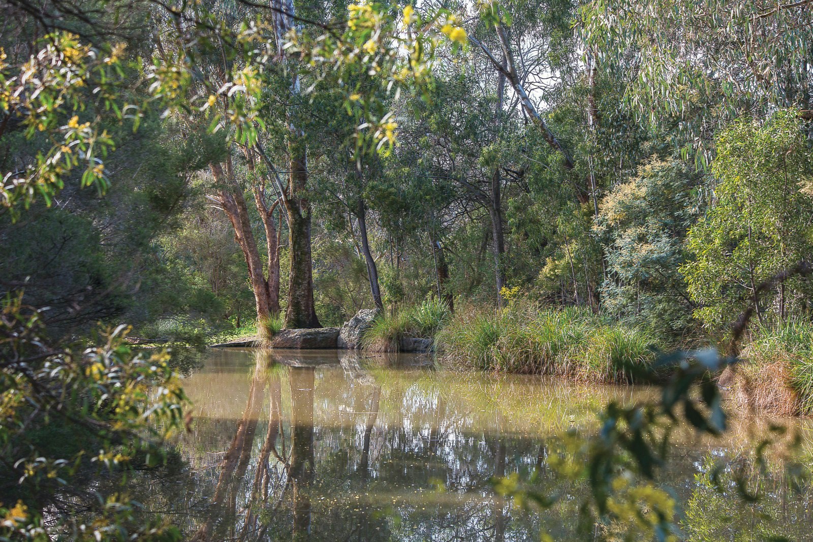 507 Waverley Road, Malvern East, VIC