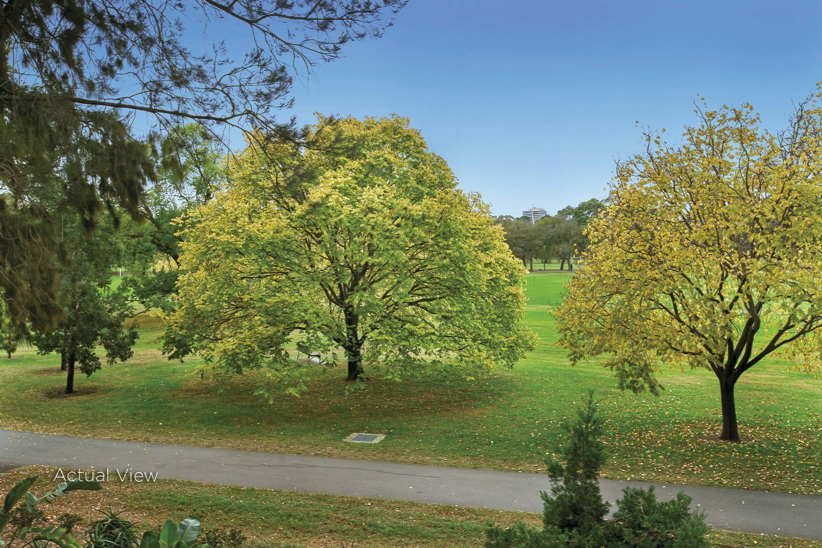 17/485 St Kilda Road, Melbourne, VIC