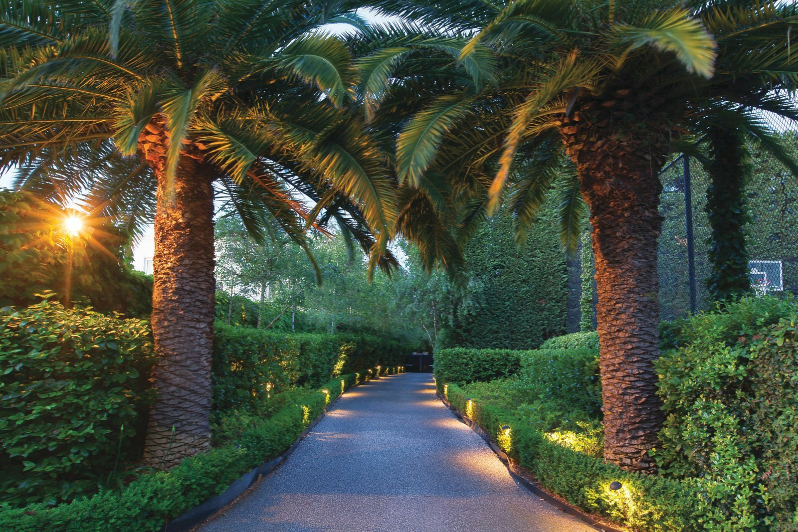 6 Kinane Street, Brighton, VIC