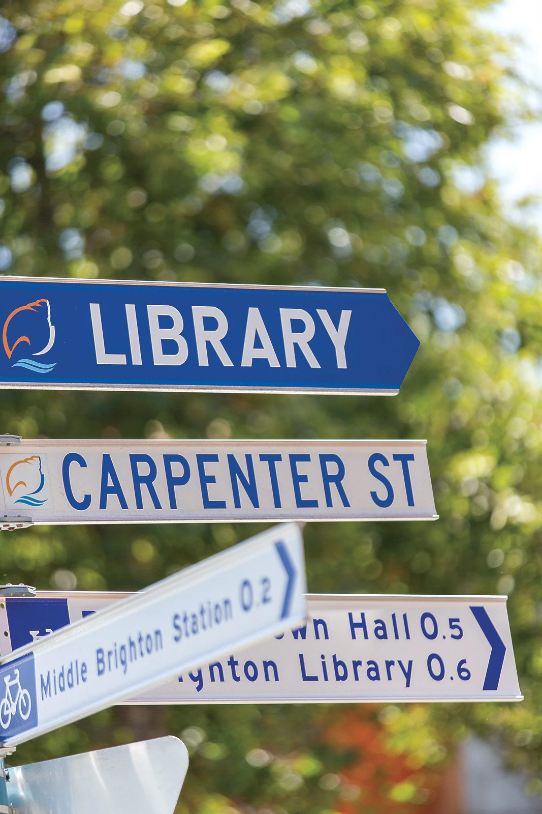 7 Carpenter Street, Brighton, VIC