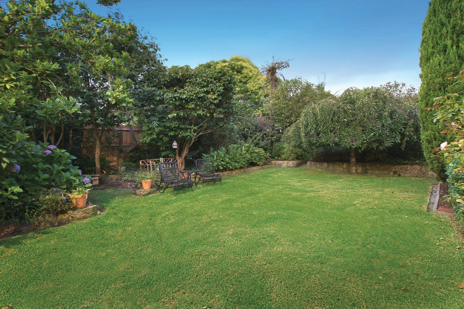 5 Graham Street, Surrey Hills, VIC