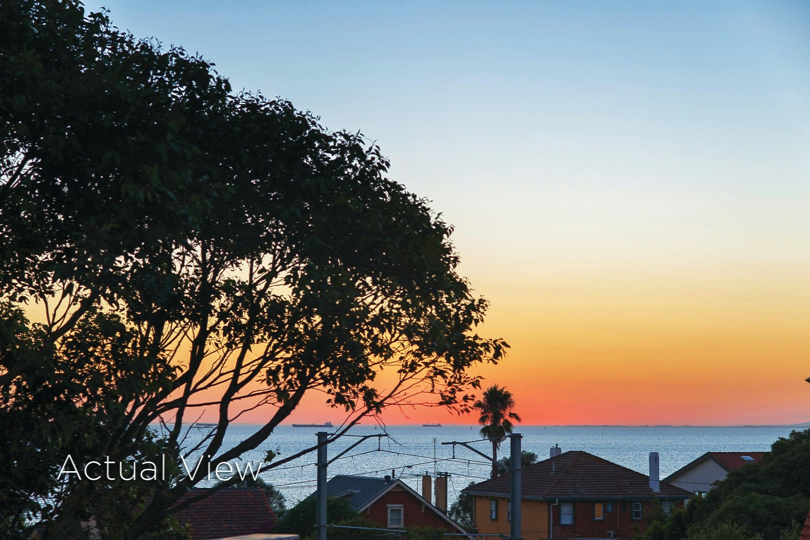 16 Holyrood Street, Hampton, VIC