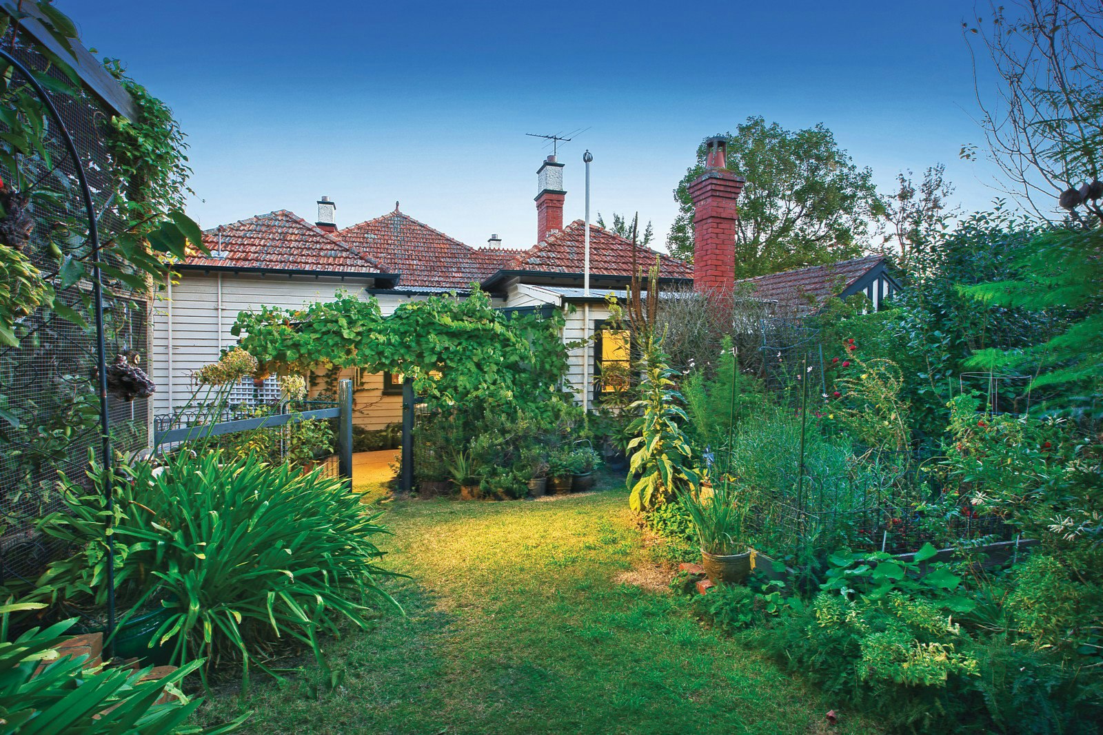 17 View Street, Canterbury, VIC