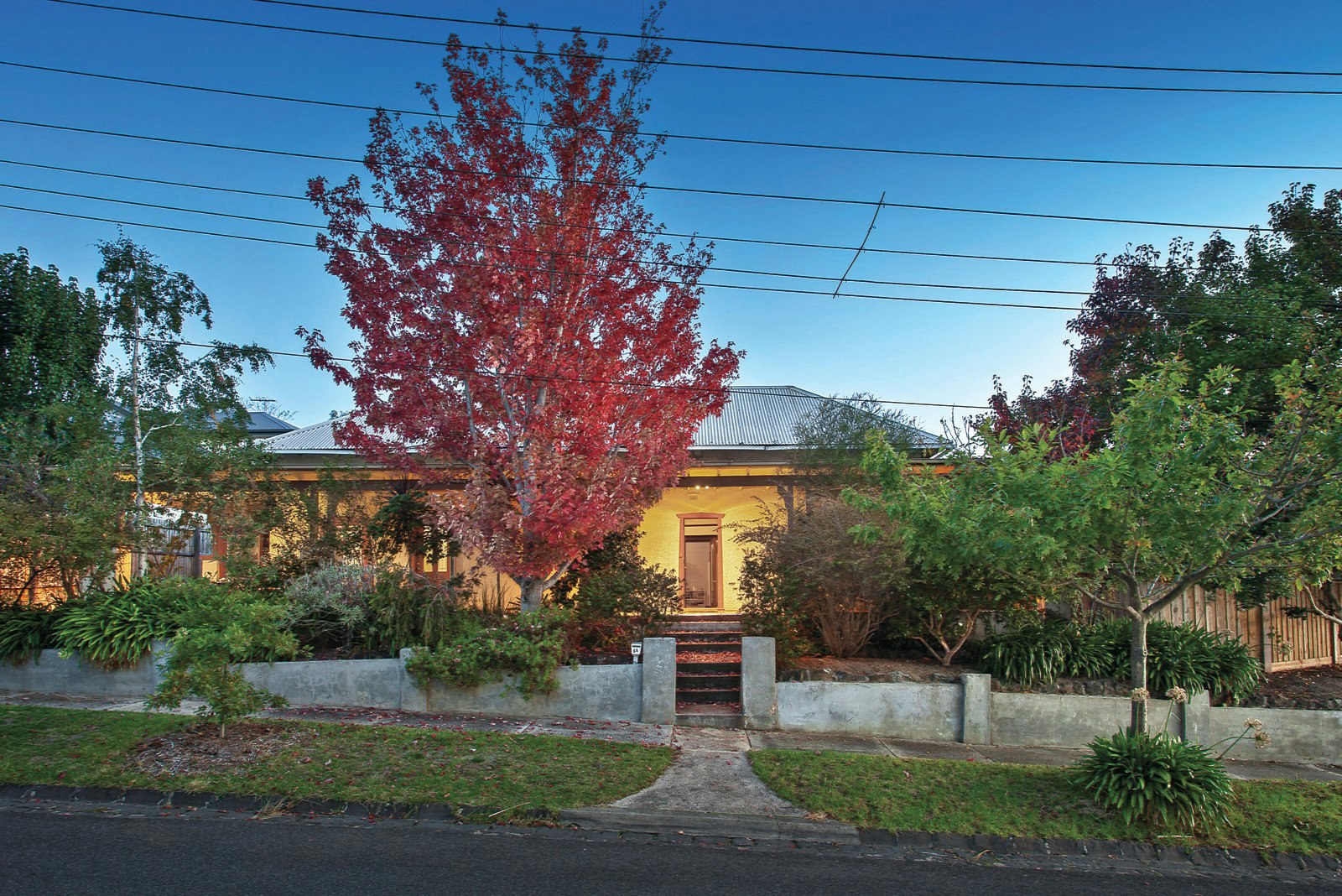 6A Thistle Street, Surrey Hills, VIC