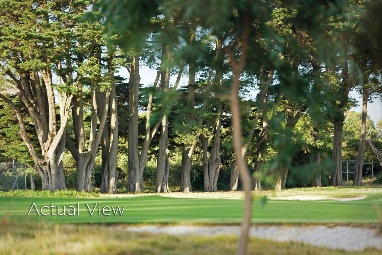 22 St Andrews Court, Black Rock, VIC