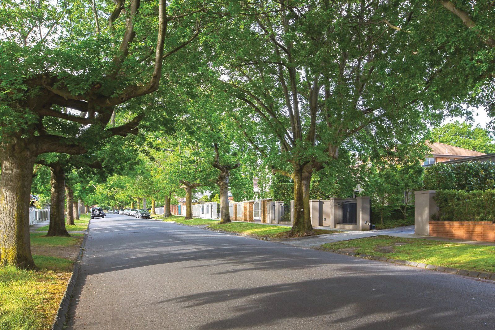 109 Rowell Avenue, Camberwell, VIC