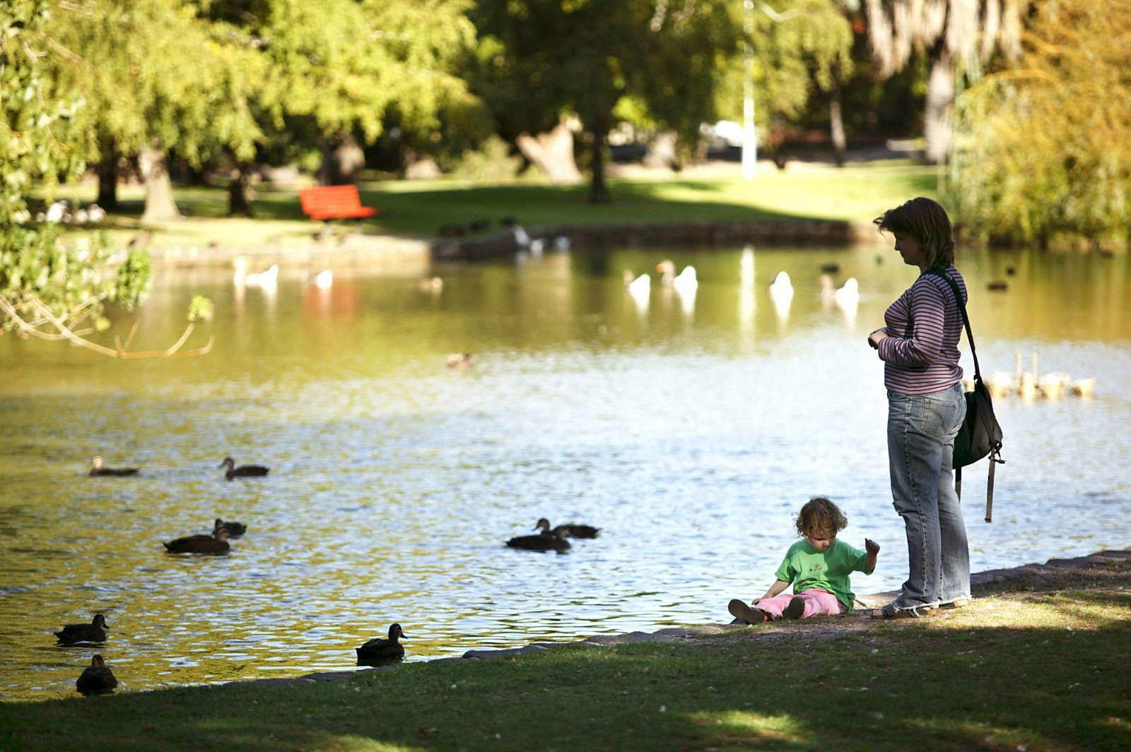 29 Derby Crescent, Caulfield East, VIC