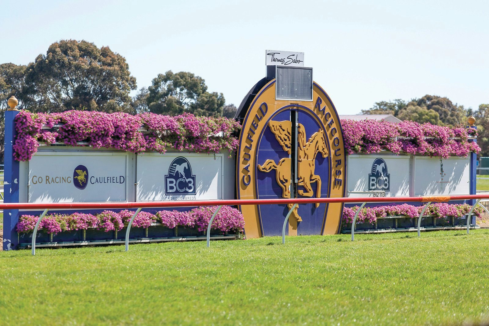 29 Derby Crescent, Caulfield East, VIC