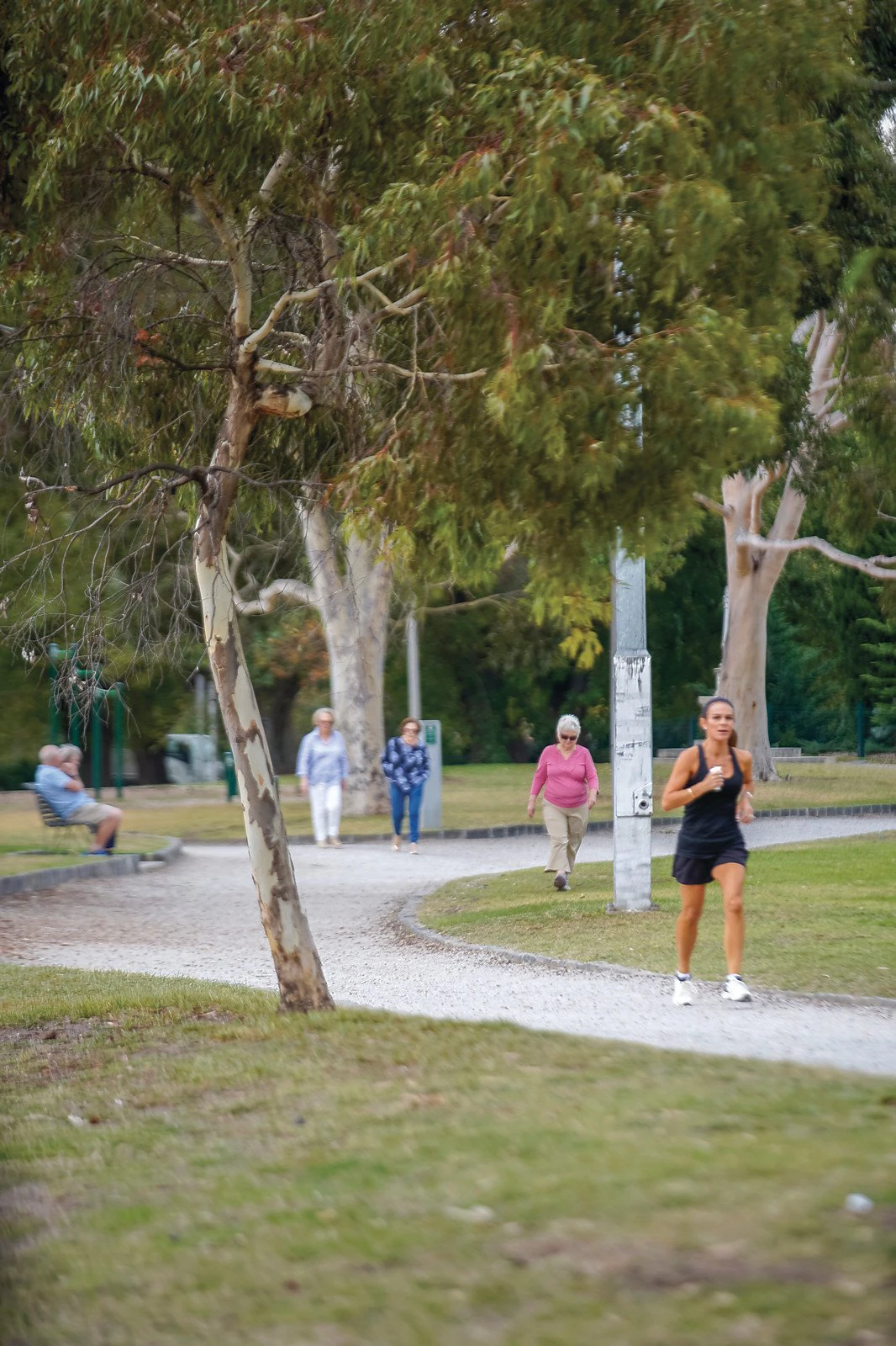 14 Payne Street, Glen Iris, VIC