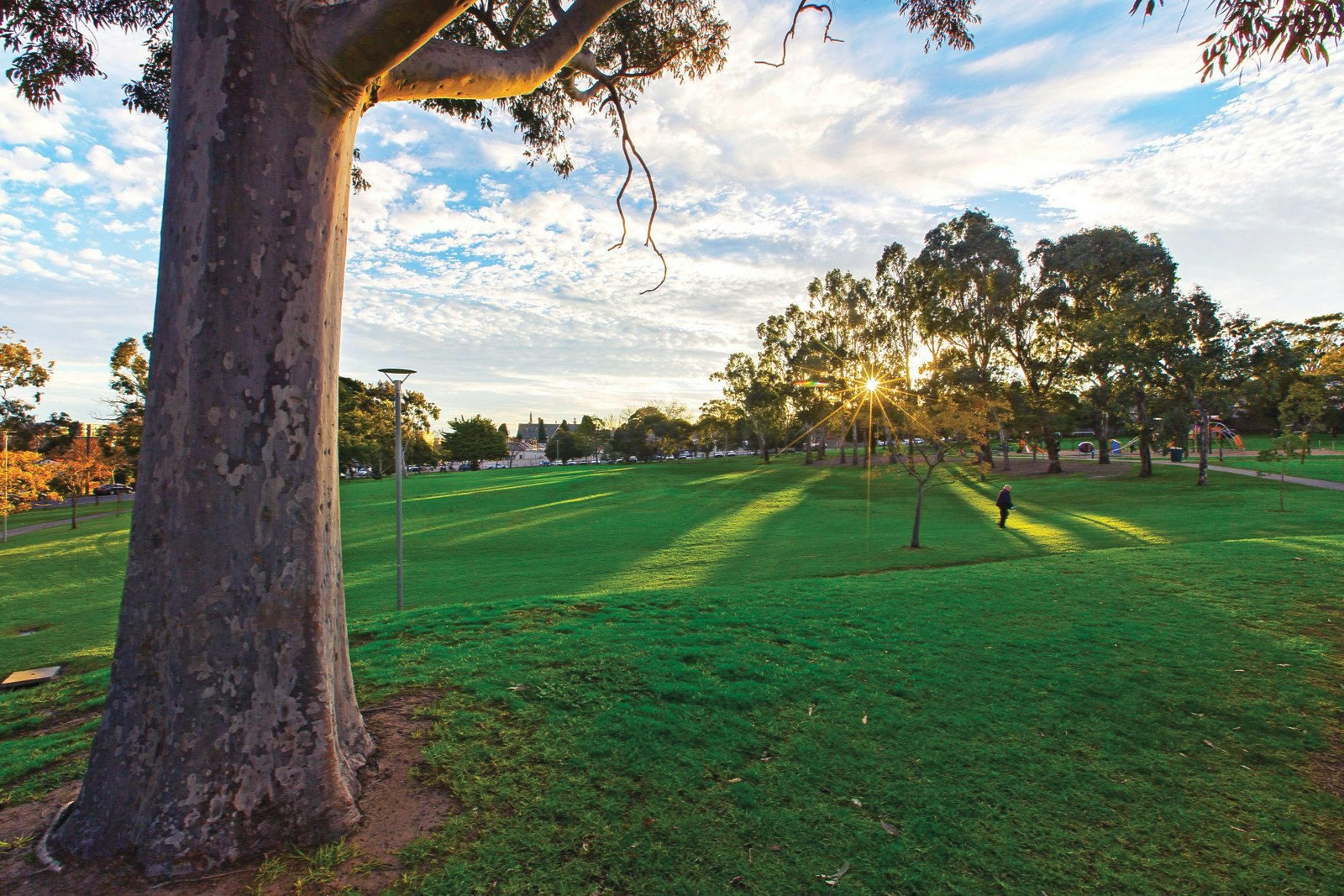 91 Rathmines Road, Hawthorn East, VIC
