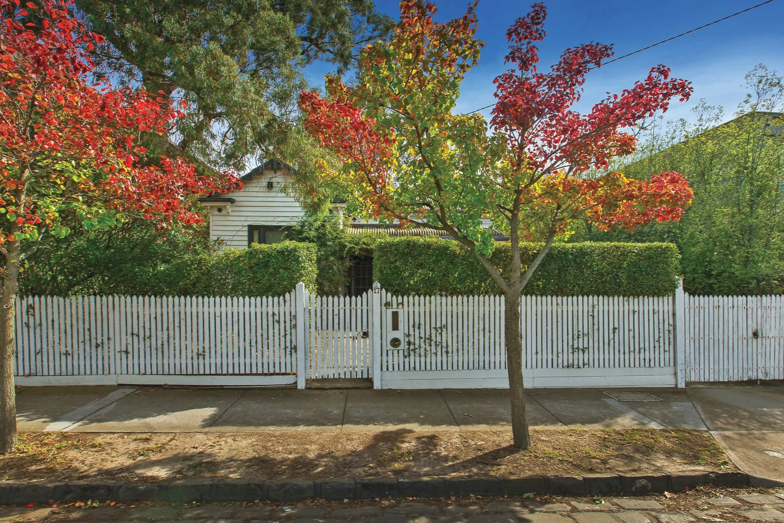 17 Egerton Road, Armadale, VIC