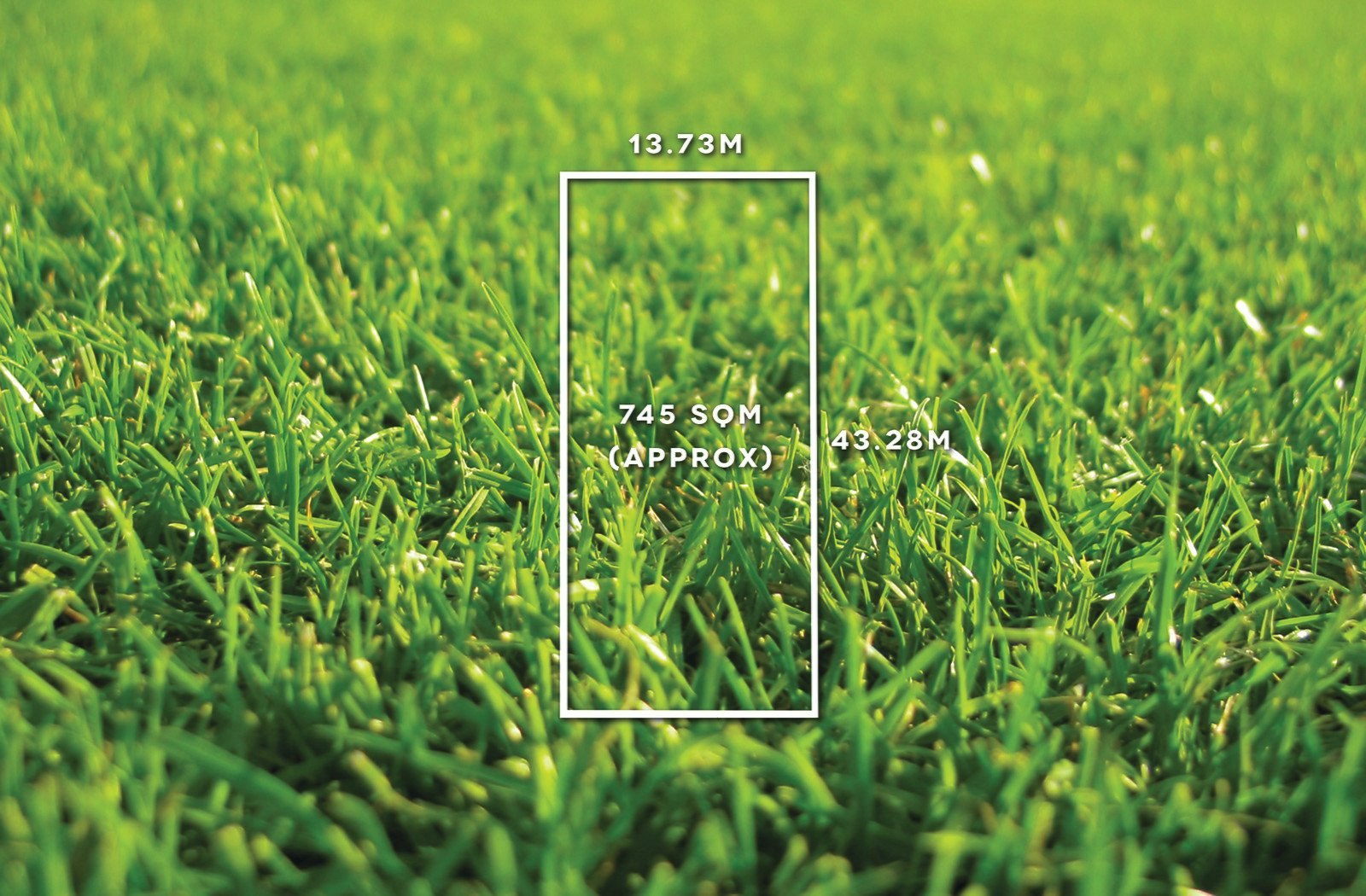 31 Somers Street, Burwood, VIC