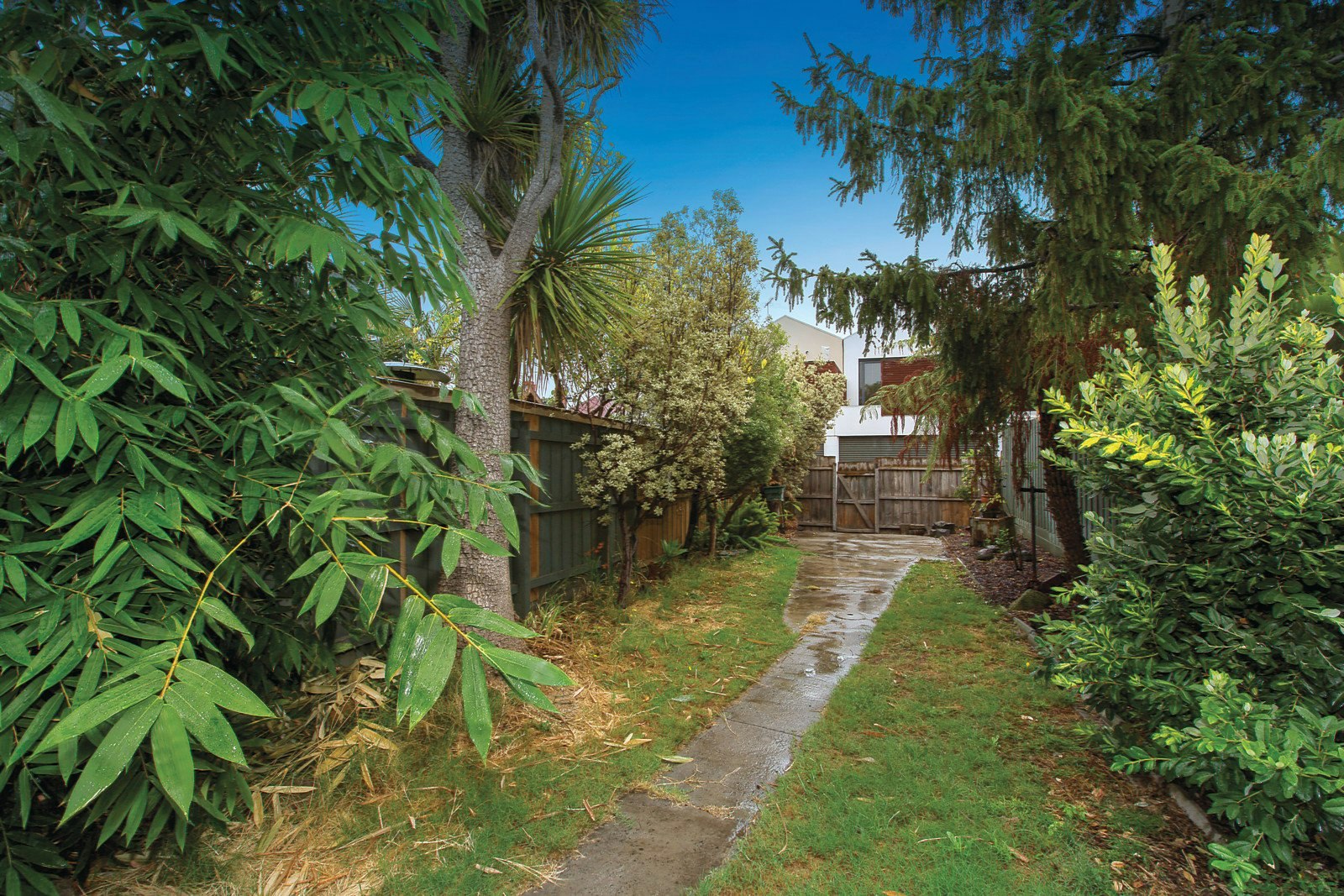 11 Nelson Street, Balaclava, VIC