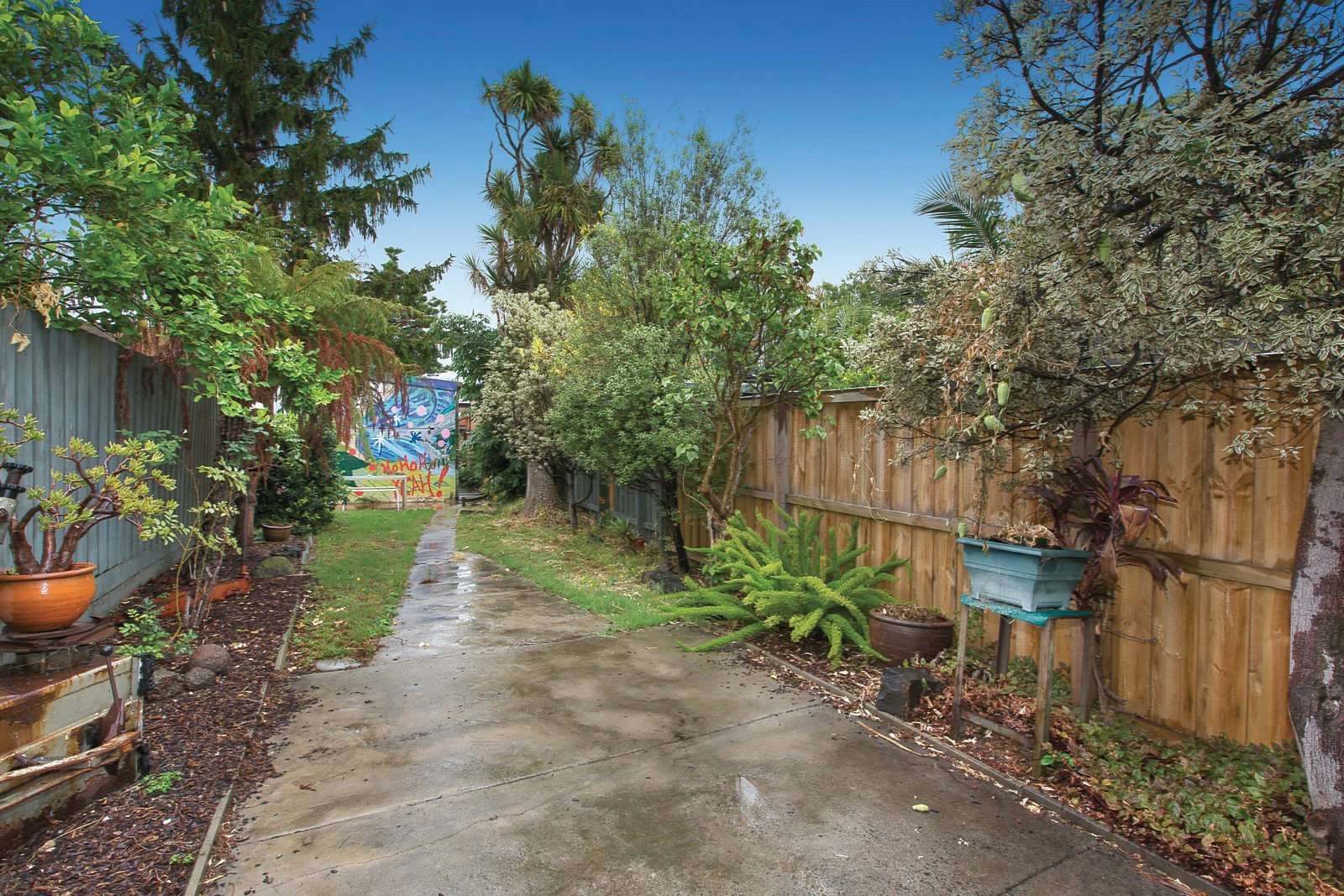 11 Nelson Street, Balaclava, VIC