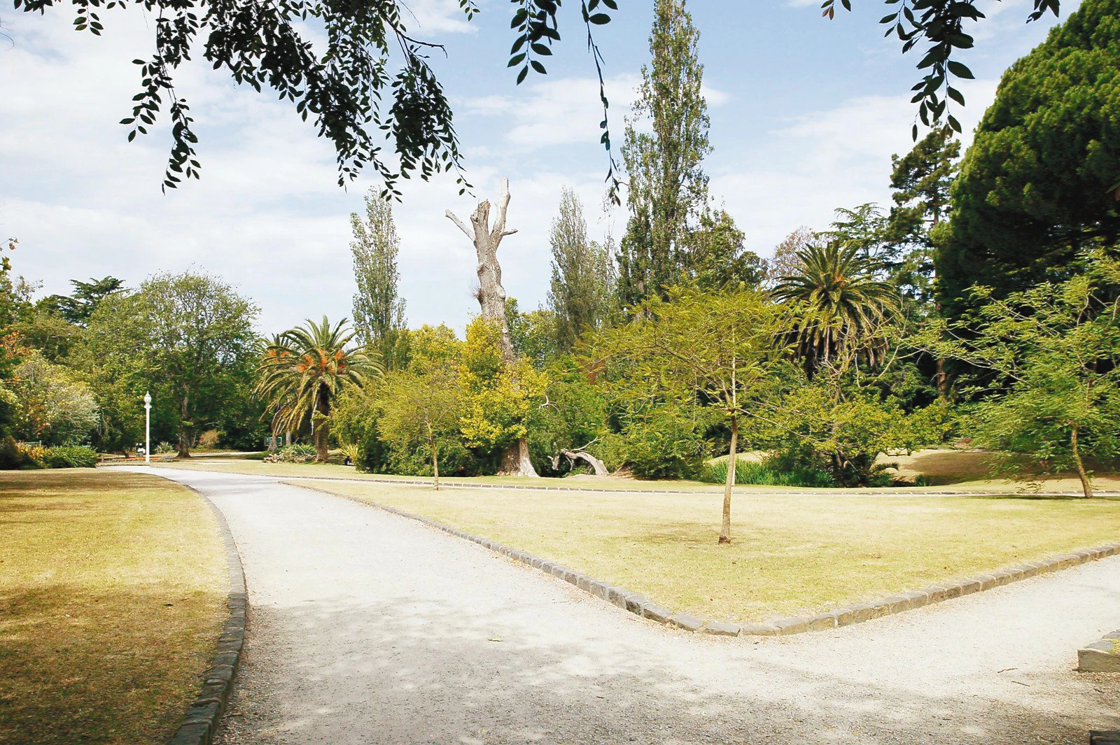 251 Waverley Road, Malvern East, VIC