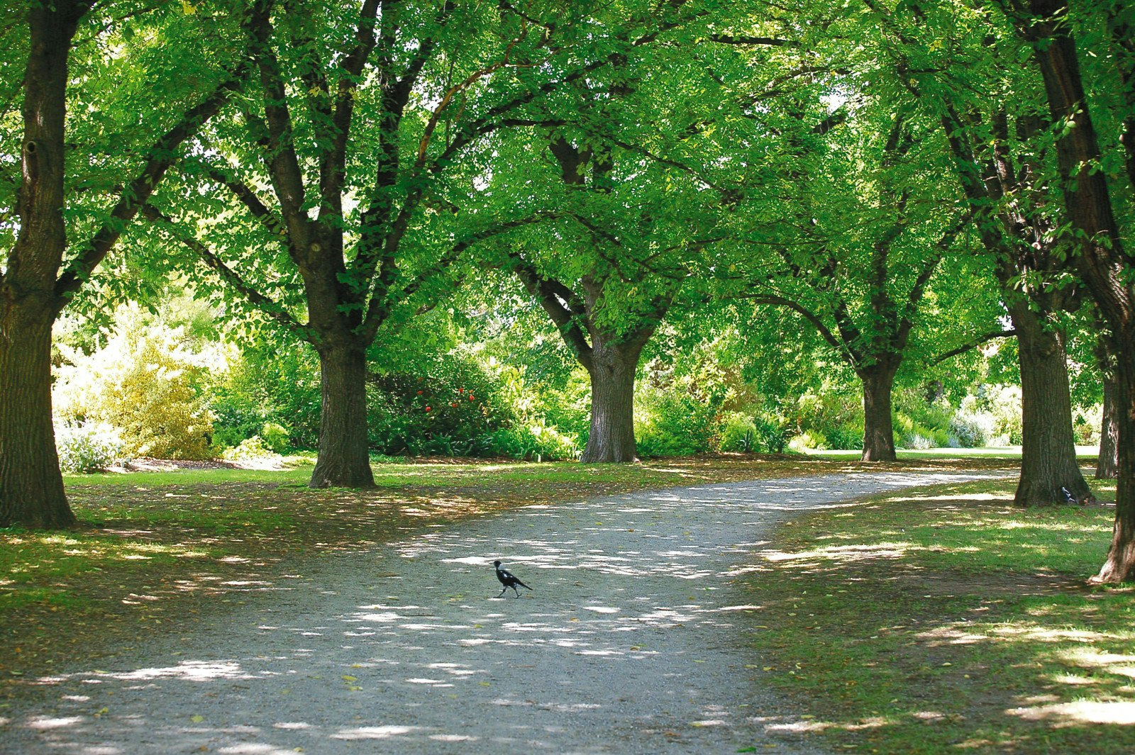 36 Moama Road, Malvern East, VIC