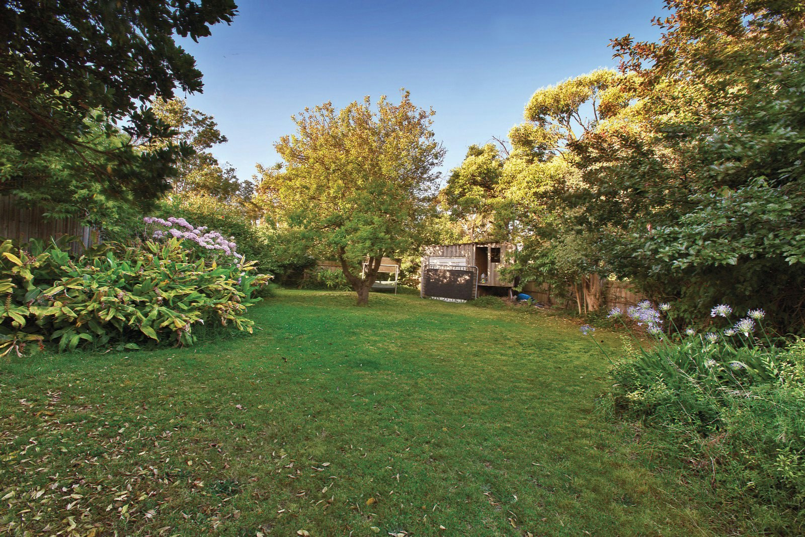 1 Boisdale Street, Surrey Hills, VIC