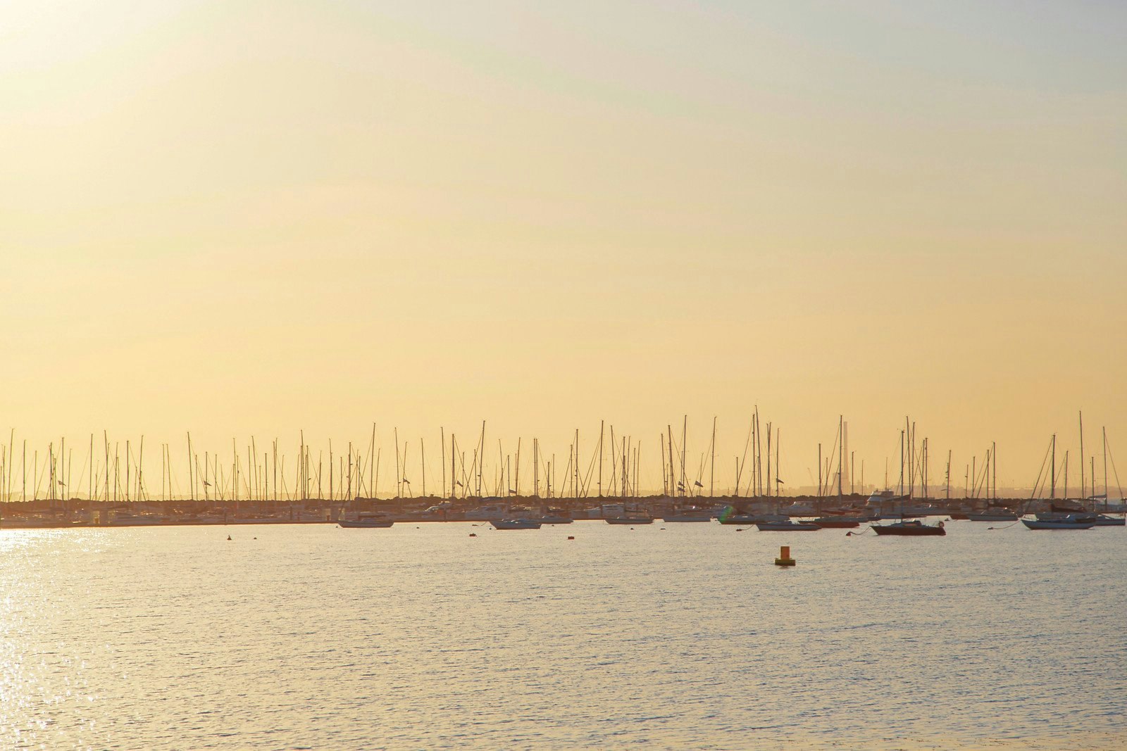 28 Mary Street, St Kilda West, VIC