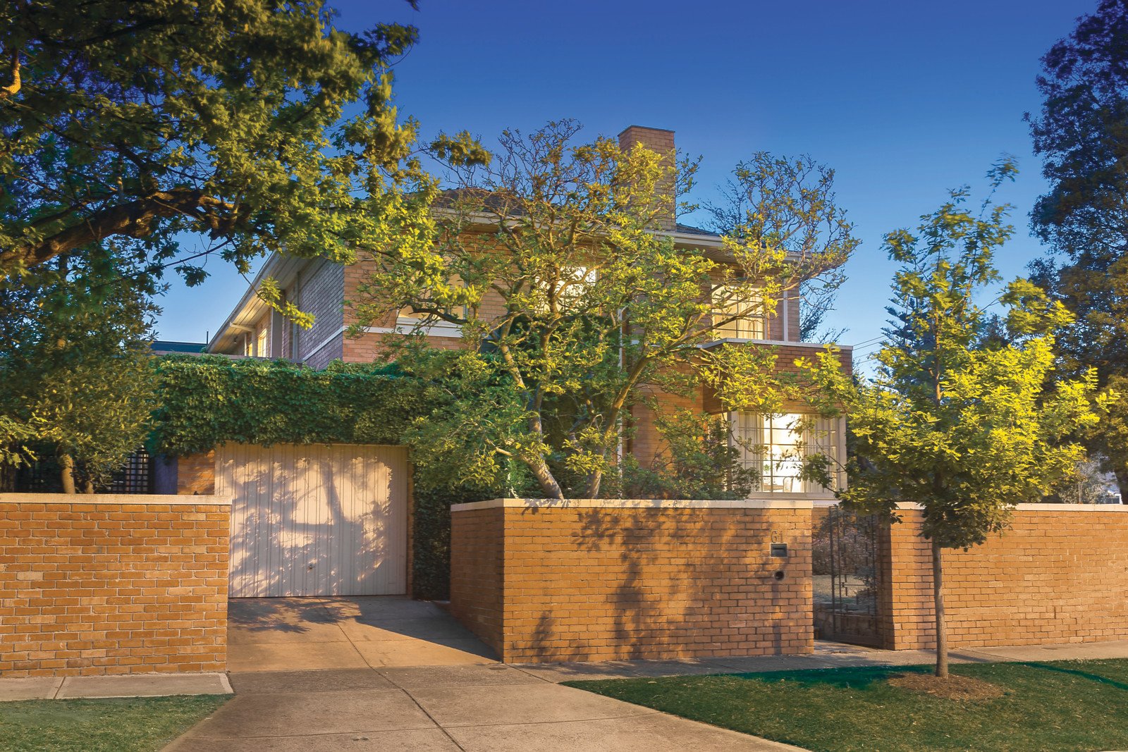 61 Albany Road, Toorak - Thumbnail 5