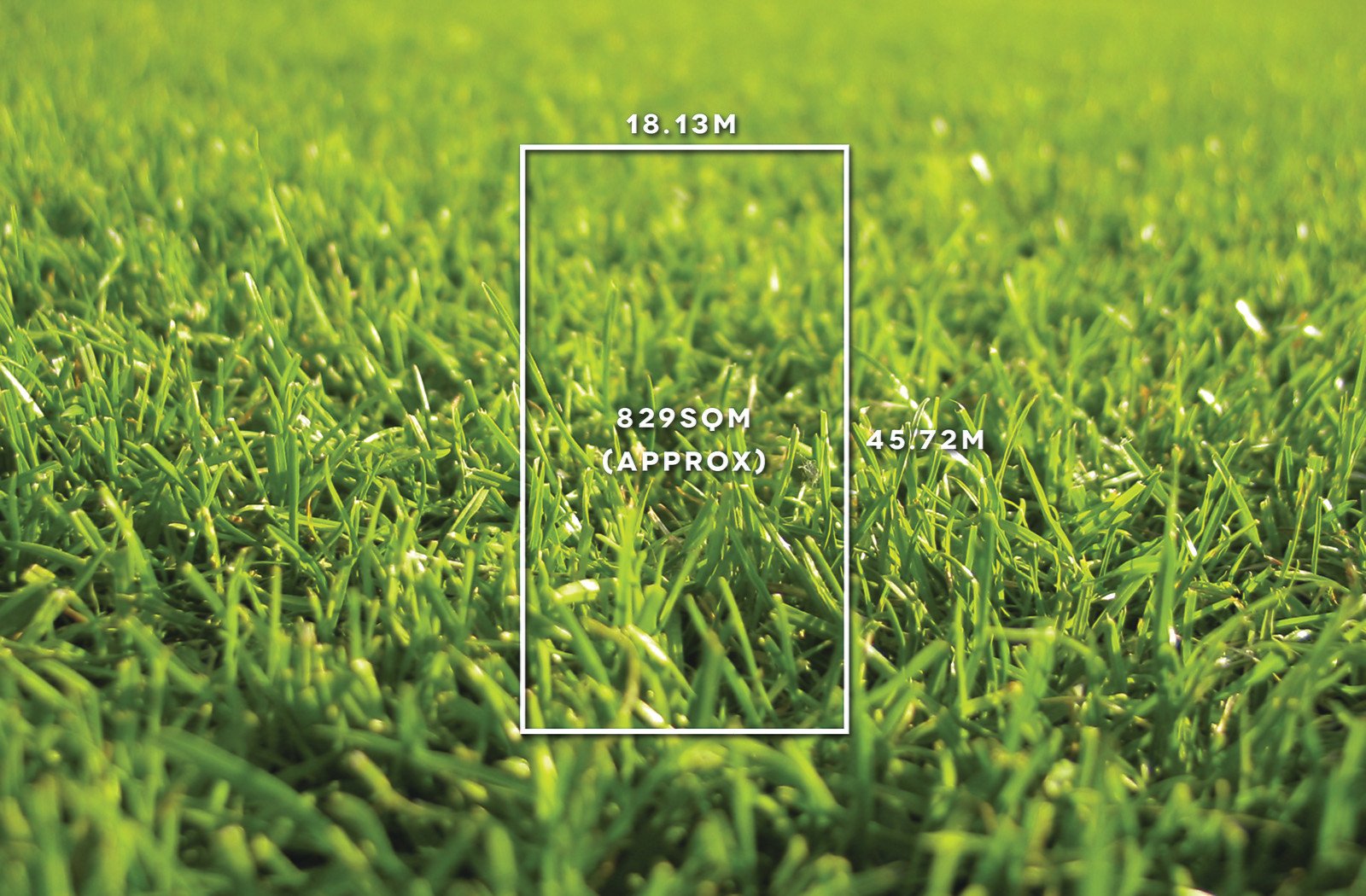 75 Gordon Street, Balwyn - Thumbnail 2
