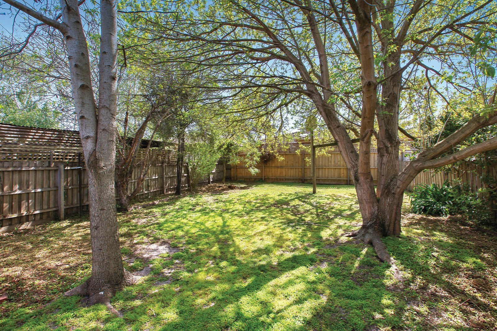 14 Parnell Street, Elsternwick, VIC