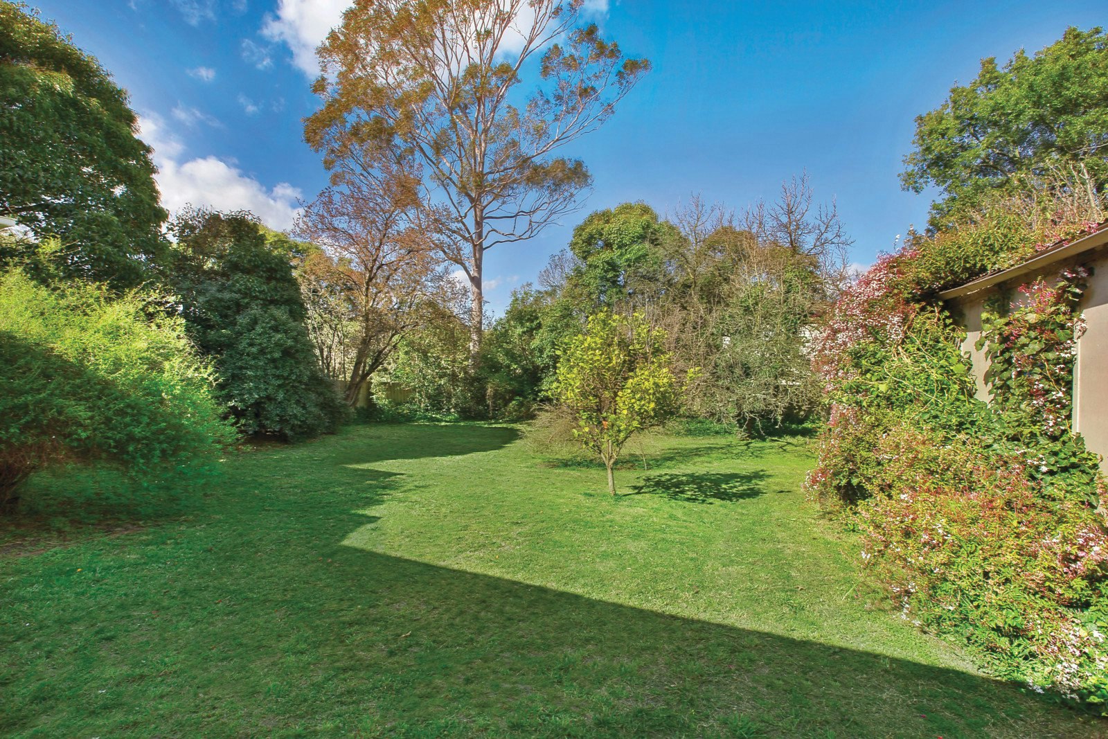 146 Highfield Road, Camberwell, VIC