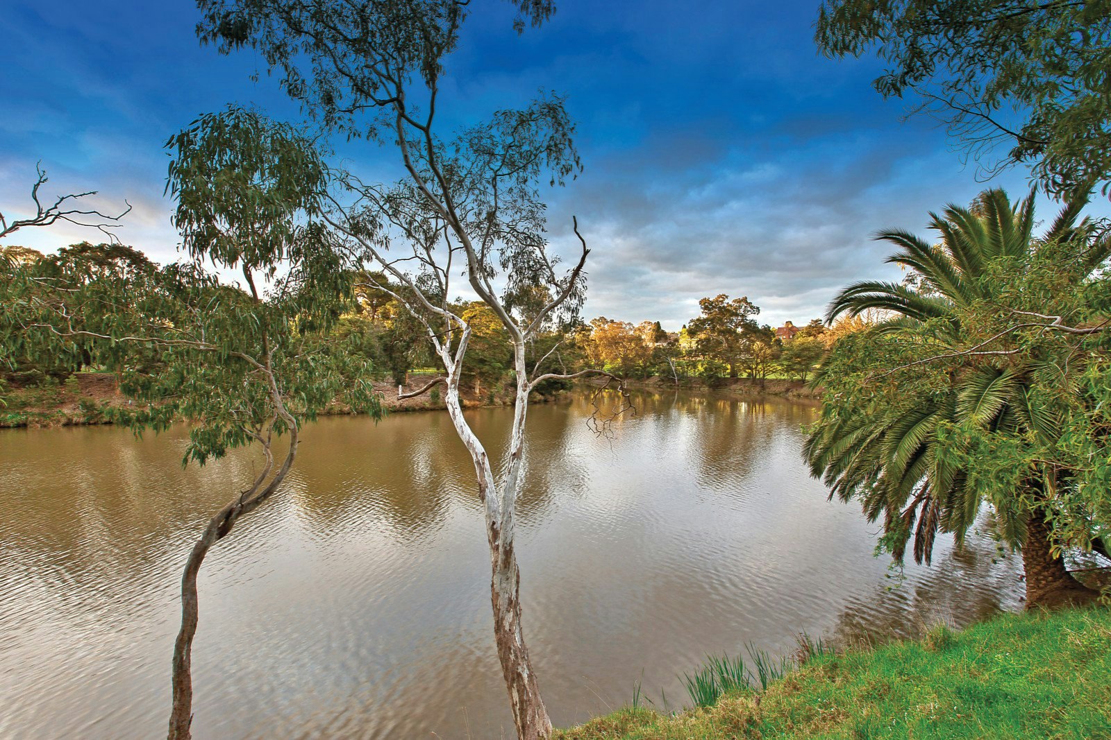 9 Scotsburn Street, Hawthorn, VIC