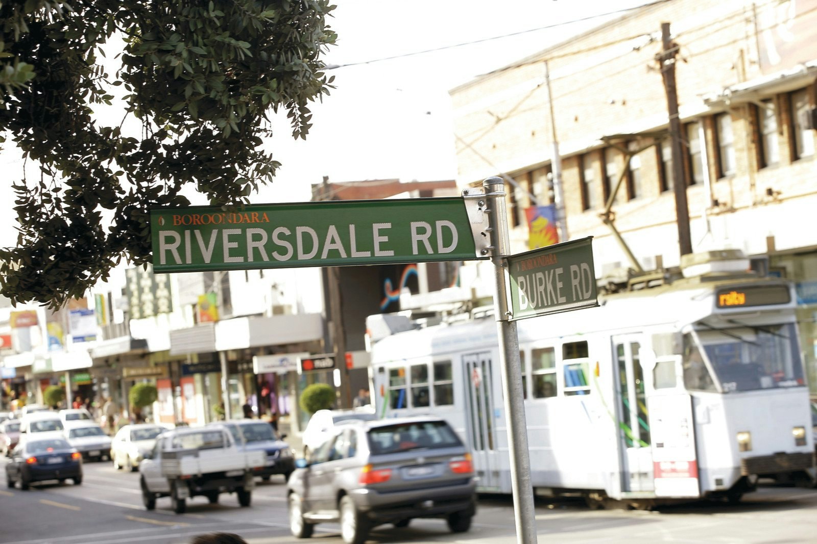 146 Highfield Road, Camberwell, VIC